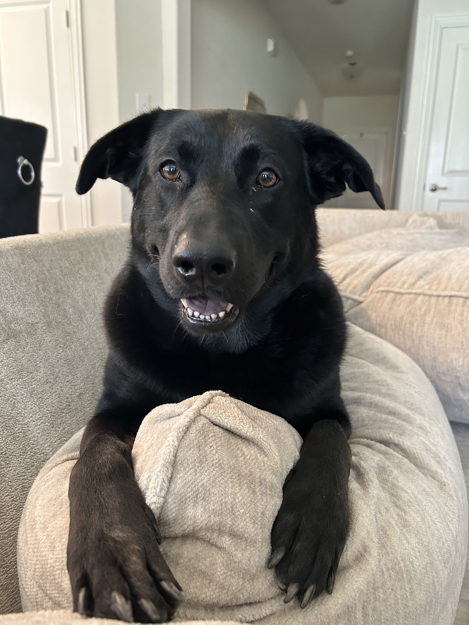 Remi