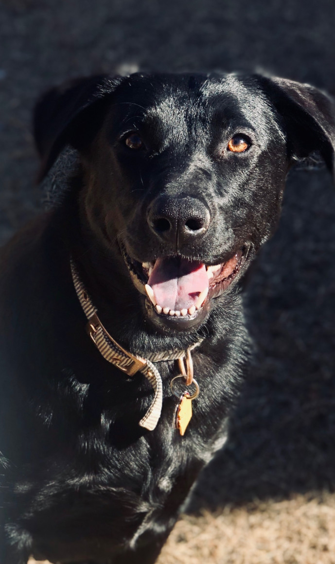 Remi