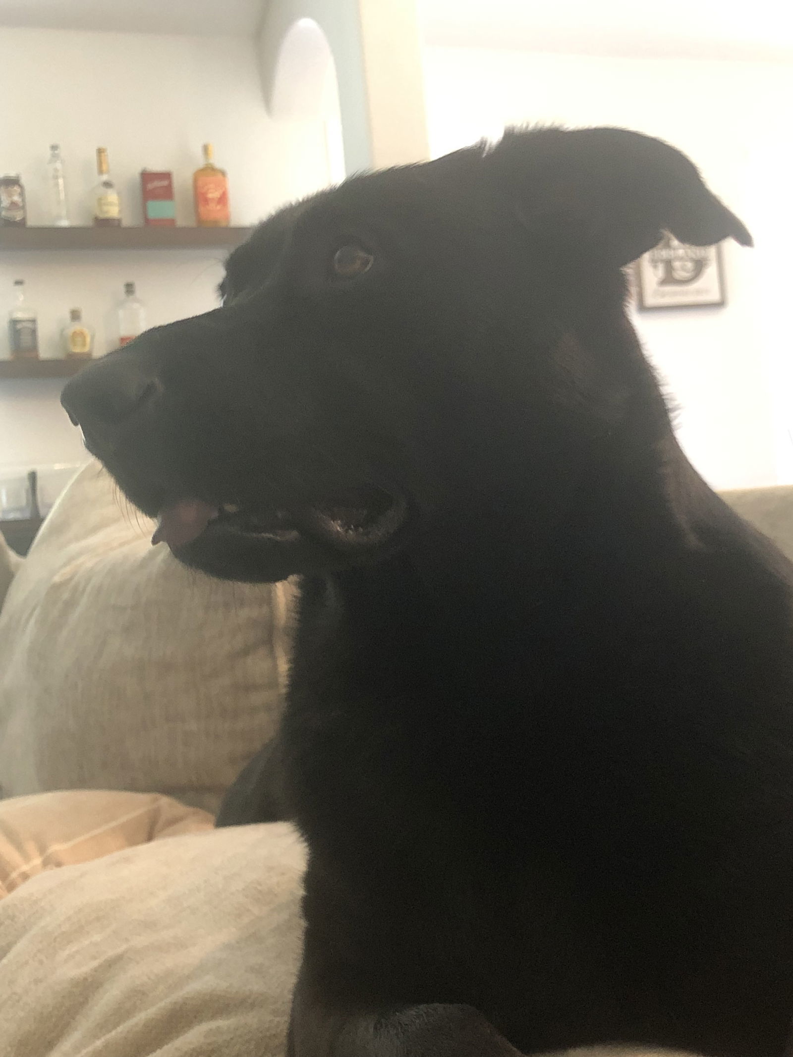 Remi