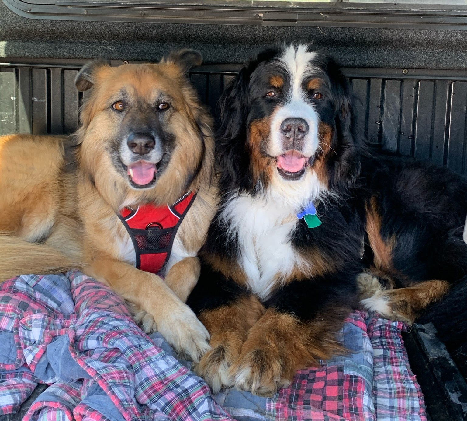 Coco and Seamus