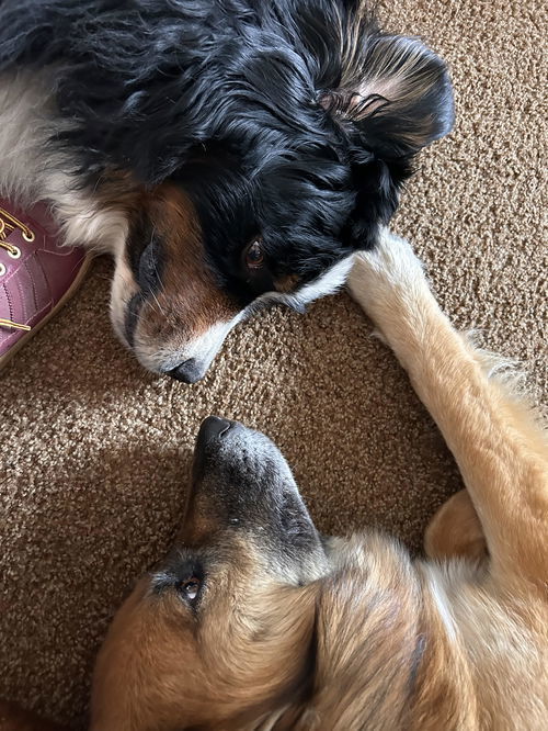 Coco and Seamus