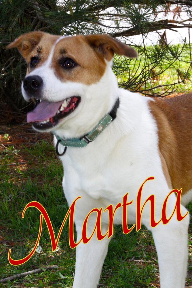 Martha