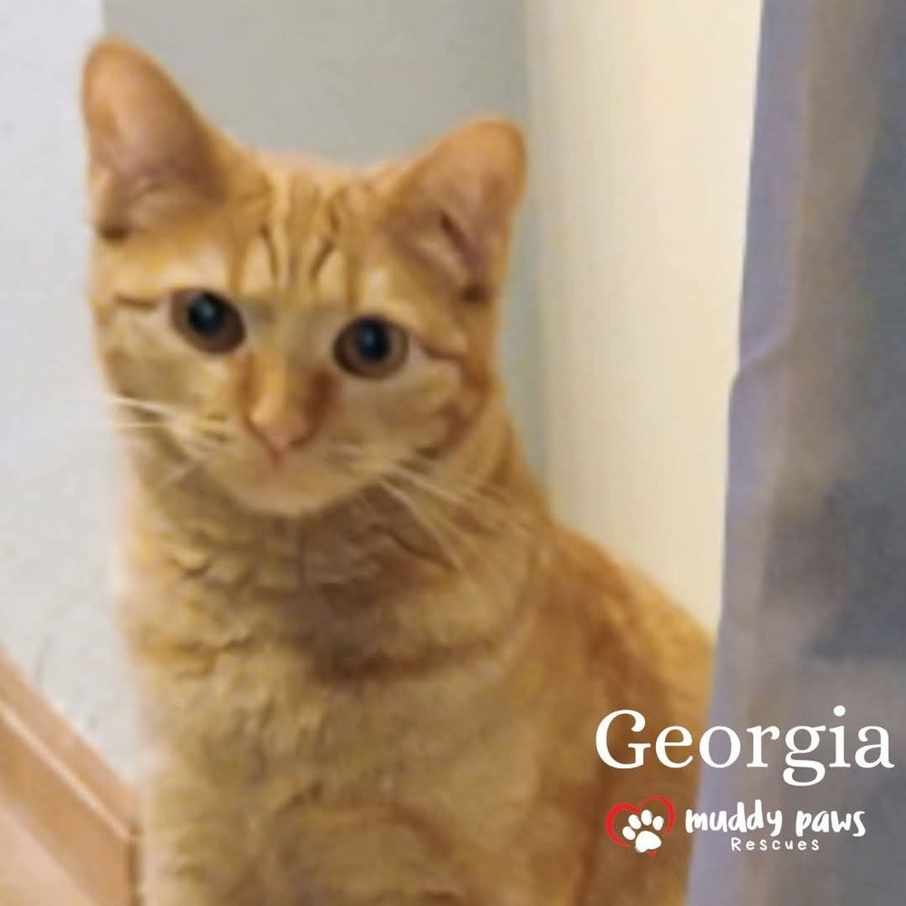 Georgia