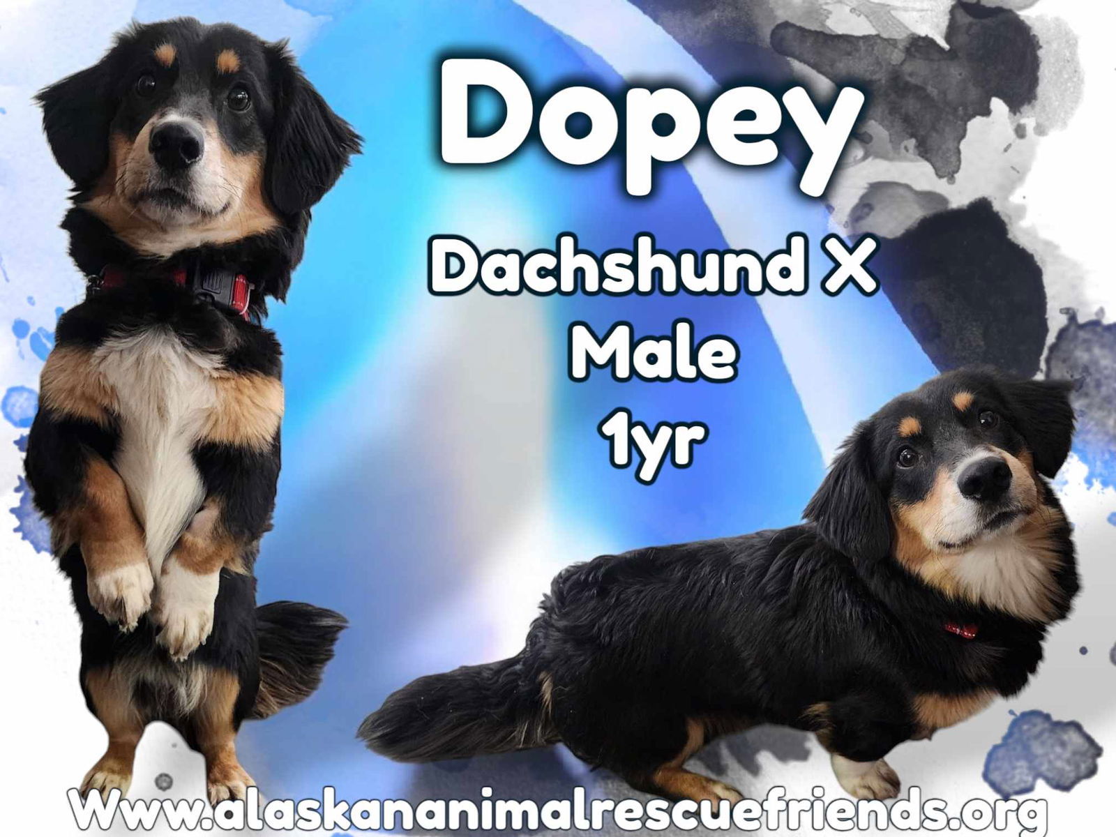 Dopey