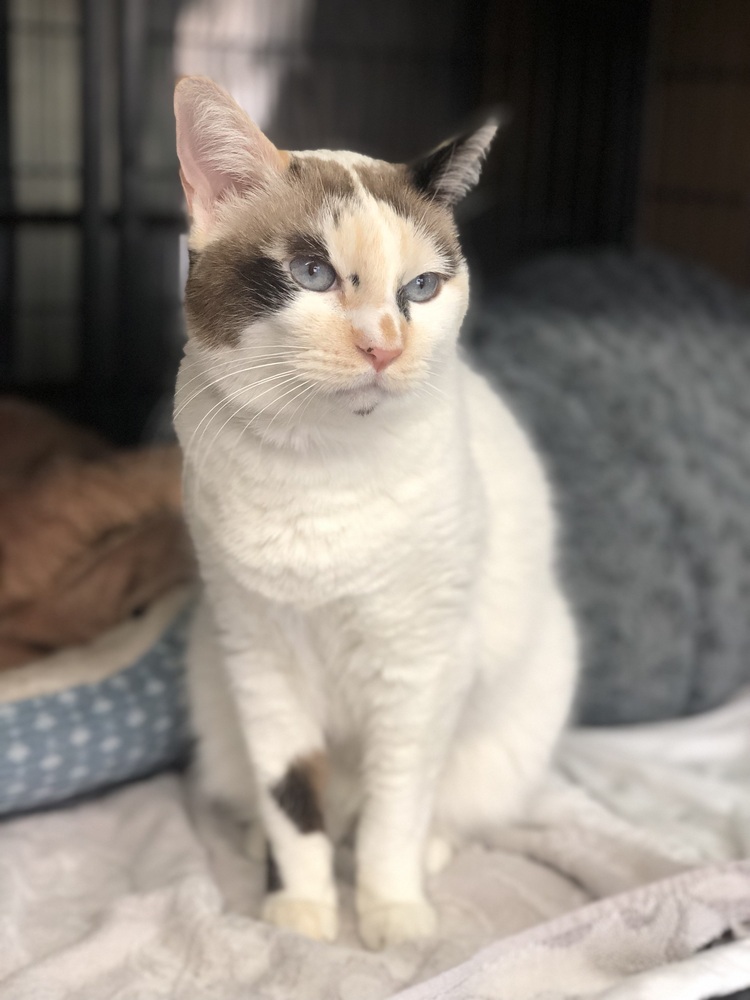 Tenderhearted Tabatha