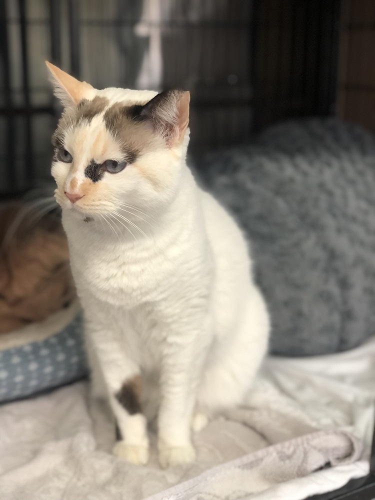 Tenderhearted Tabatha