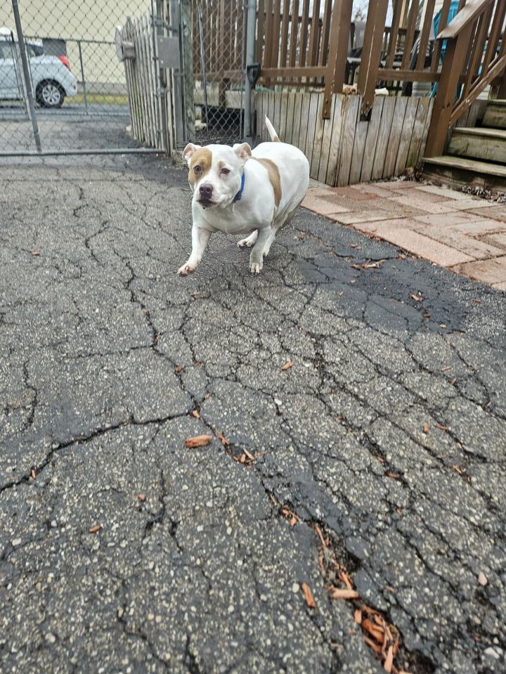 Roxy 2