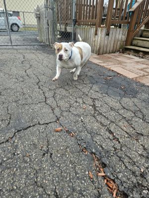 Roxy photo