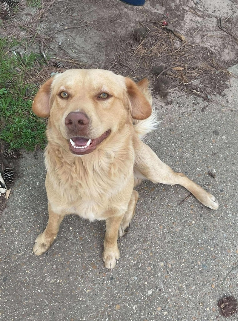 Max