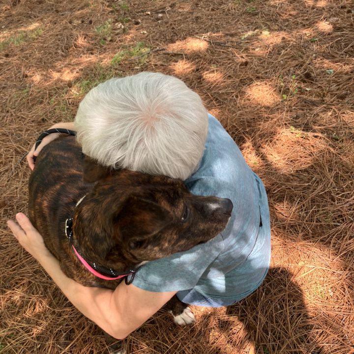 Georgia 3