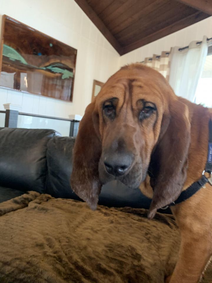 Boone 3