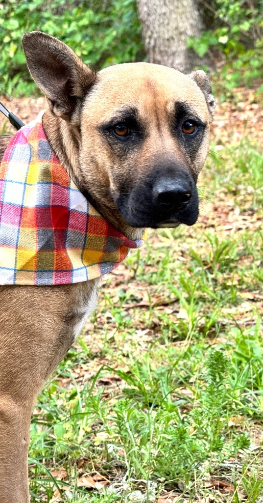 GRETA