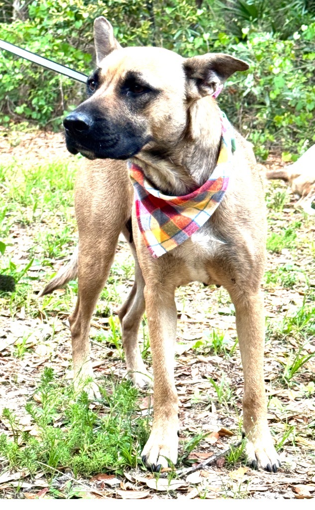 GRETA