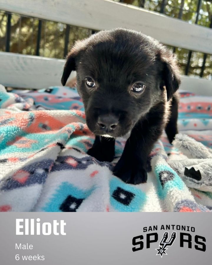 Elliott 2