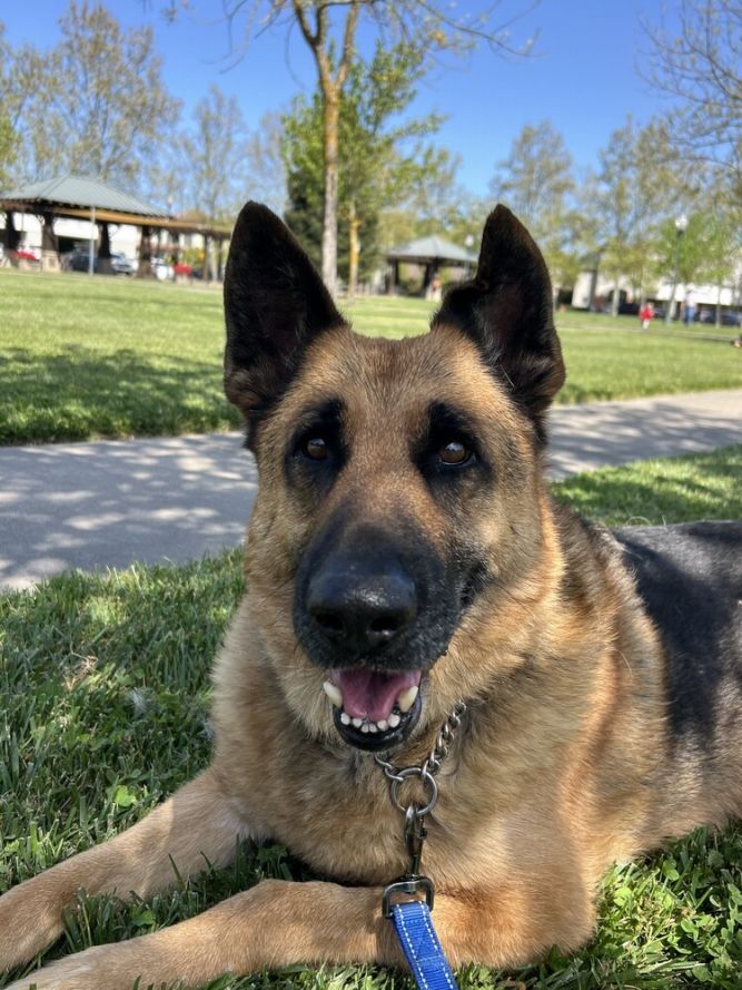 Tyson