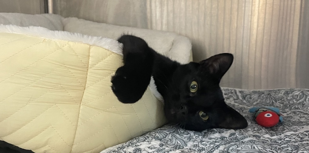 MINNIE MAE