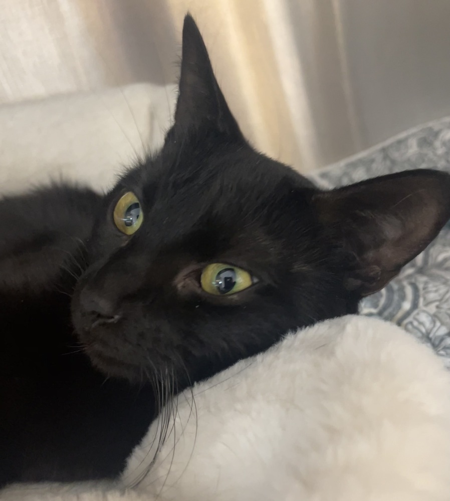 MINNIE MAE