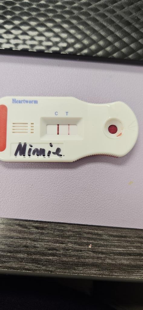 Minnie