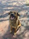 Rudy photo 2