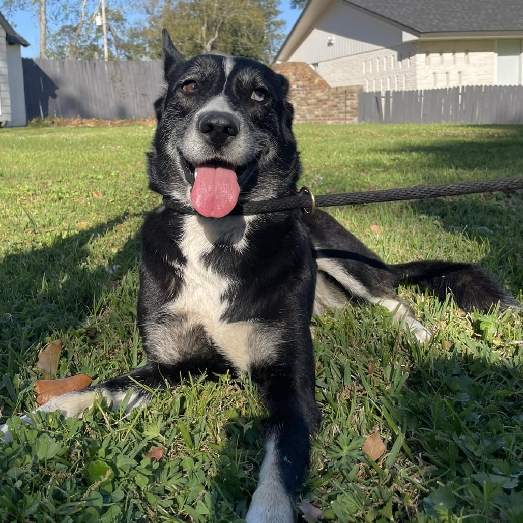 Zoey