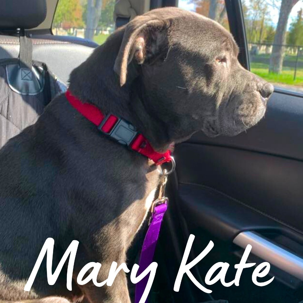 Mary Kate