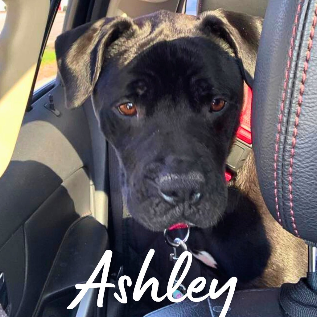 Ashley