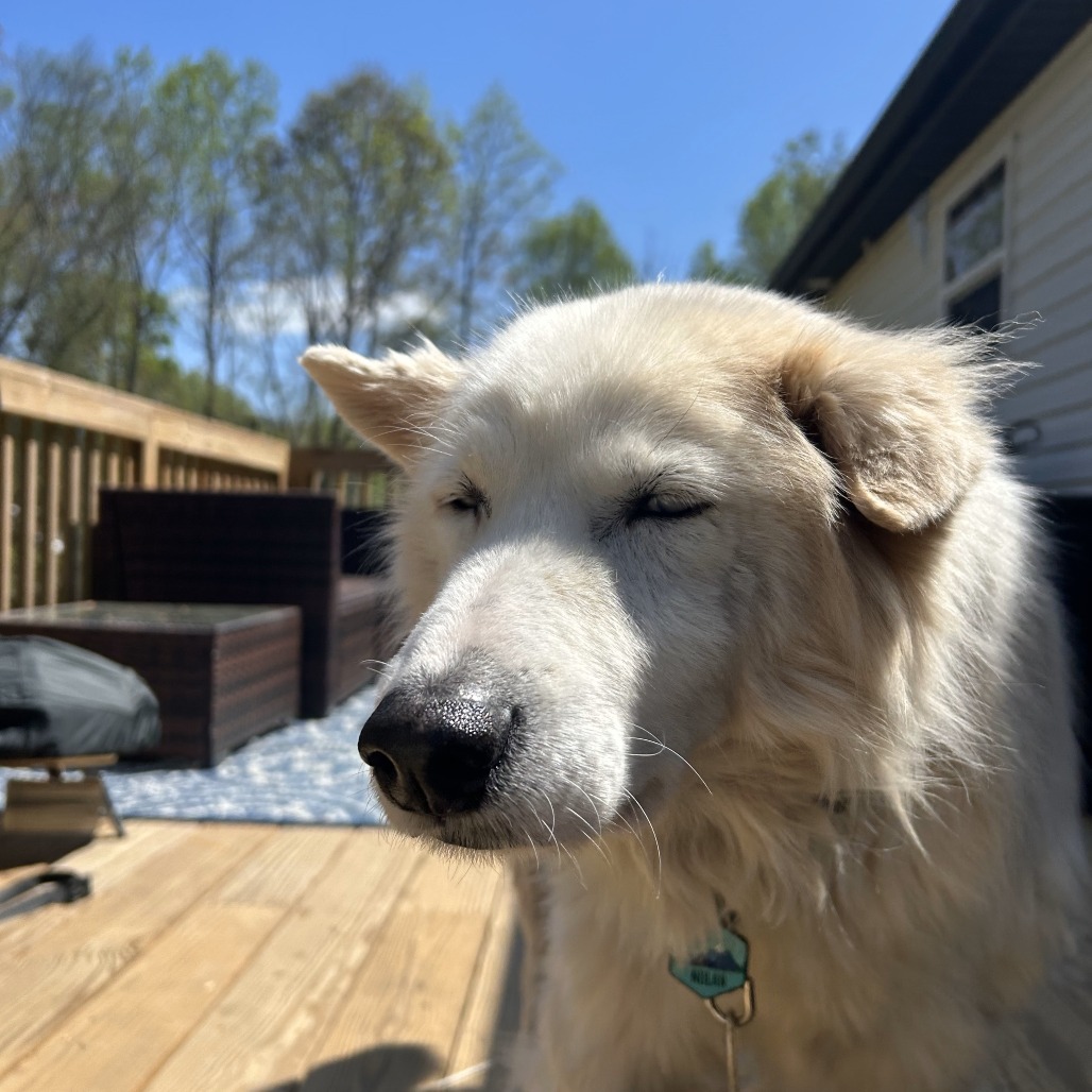 Nolan