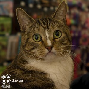 Sawyer PGAC, Senior Male unknown