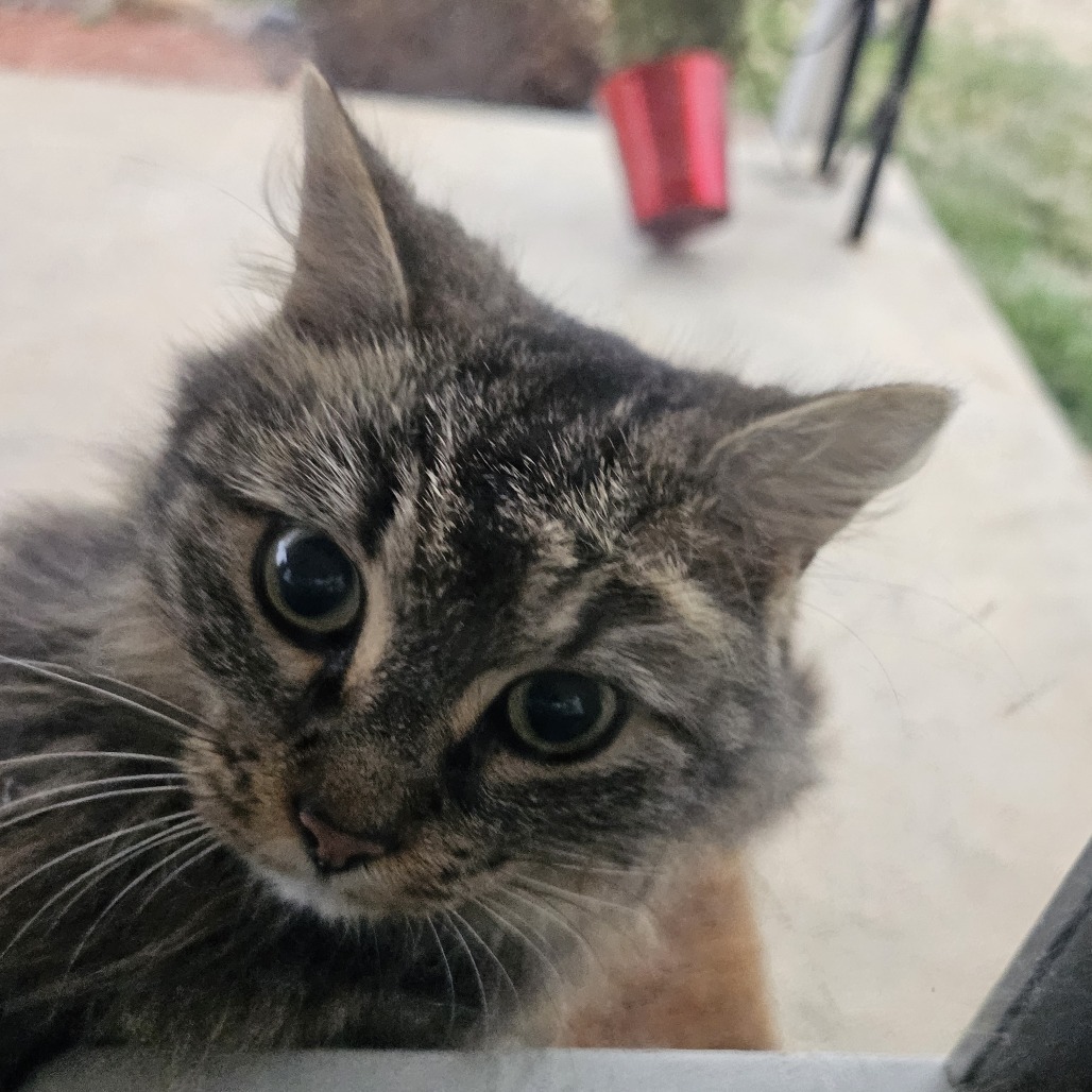 Sweetie