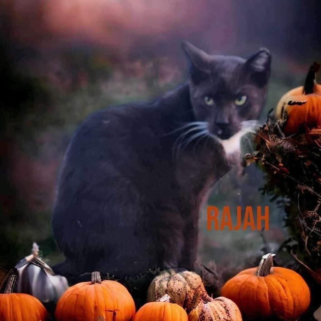 Rajah