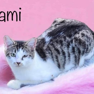 Nami