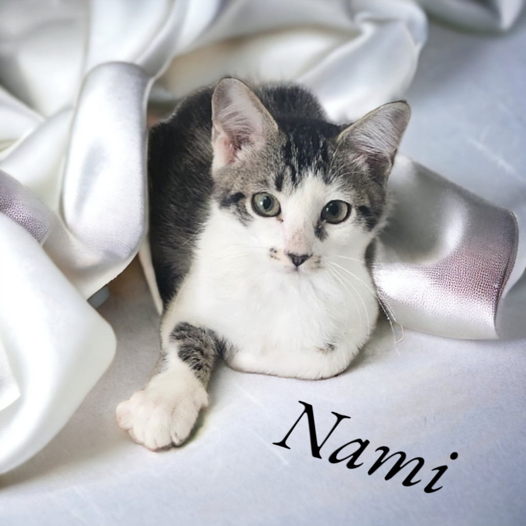 Nami