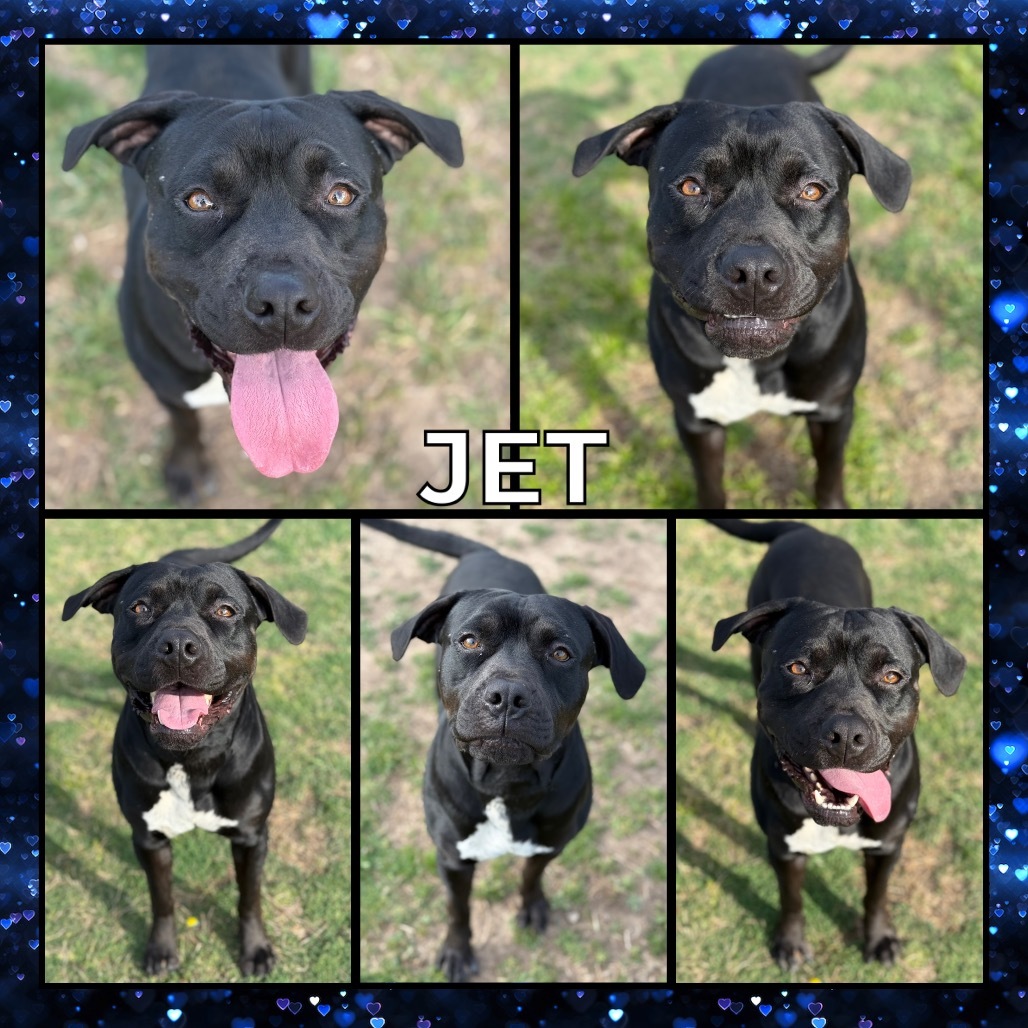 Jet (Mac)
