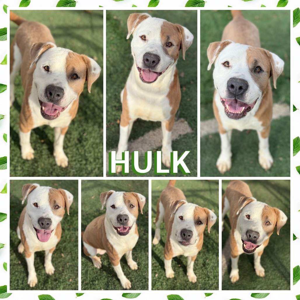 Hulk