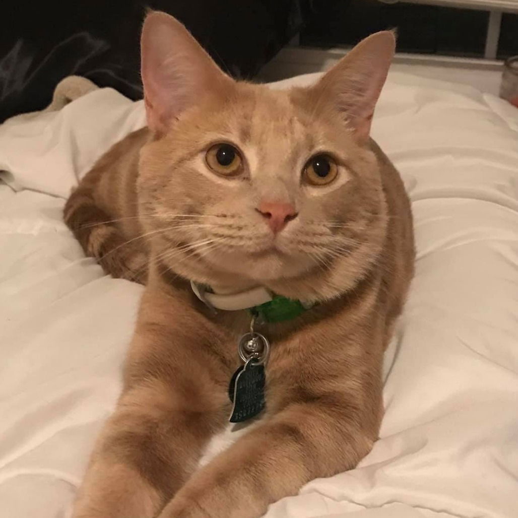 Carl