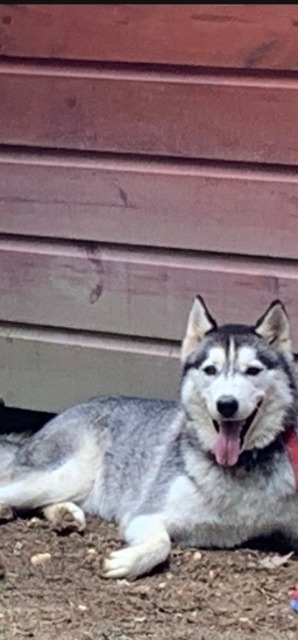 Dakota