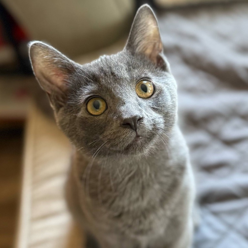 Jerry