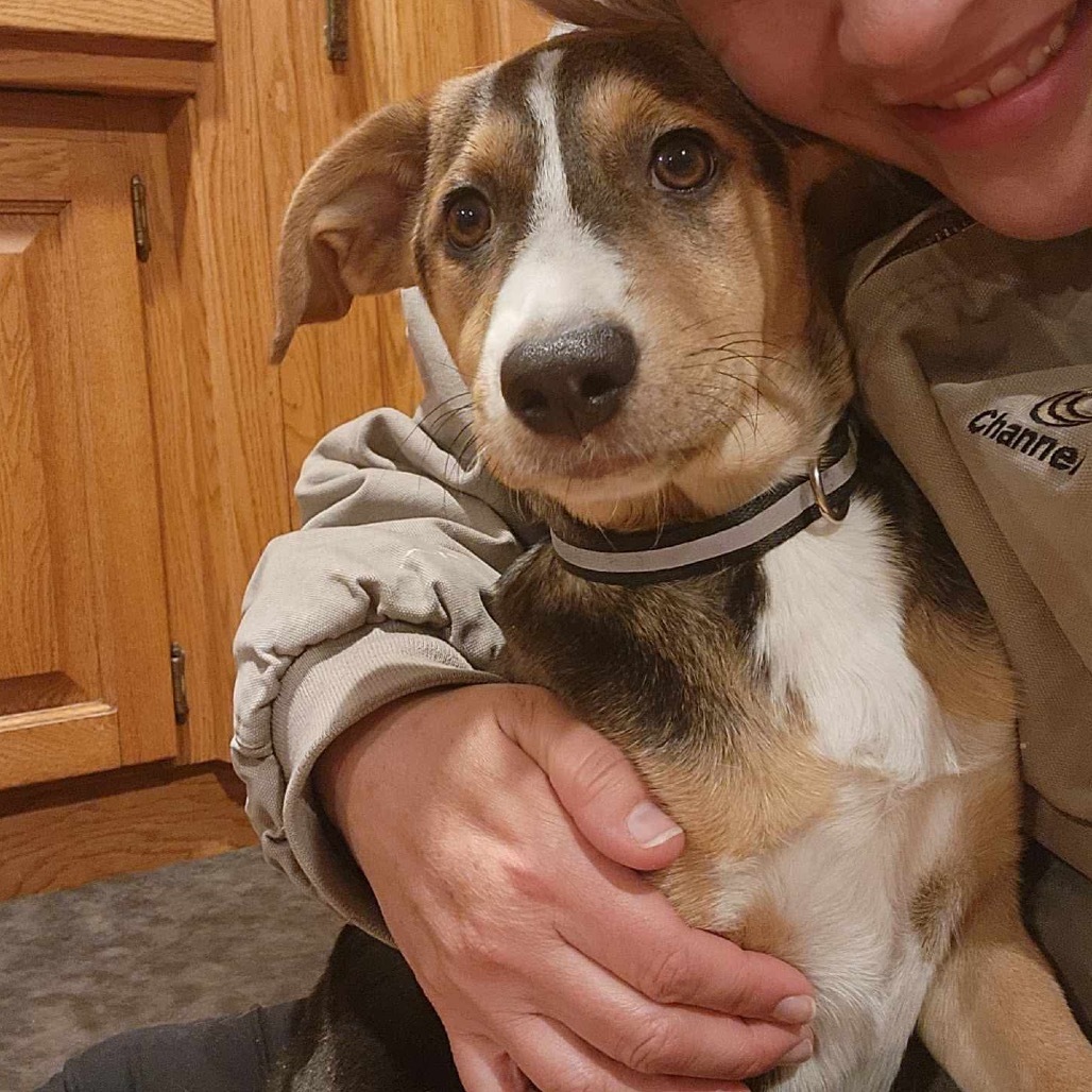 Erica- Adoption pending