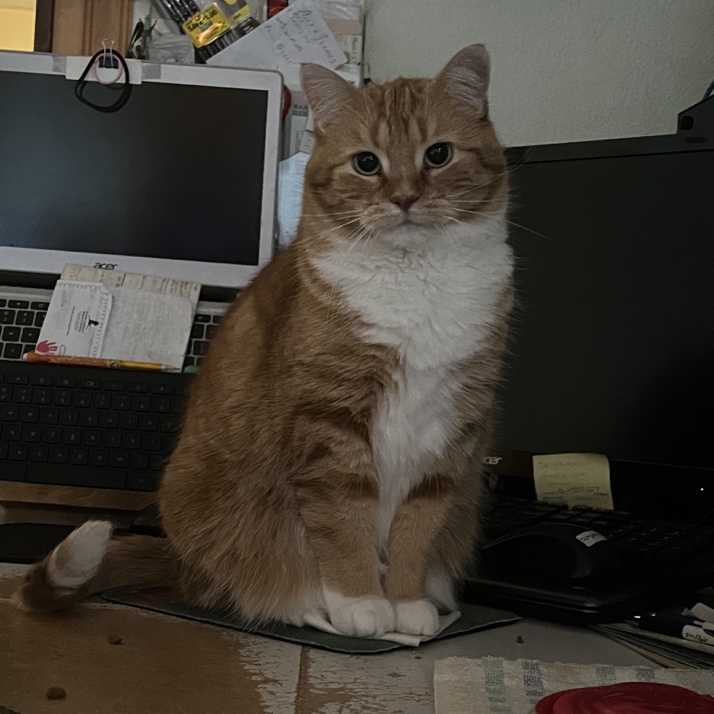 Lucy