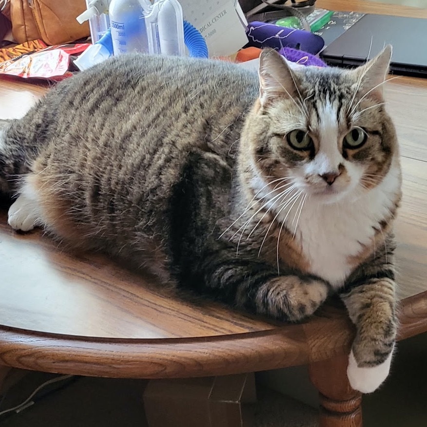 Sid