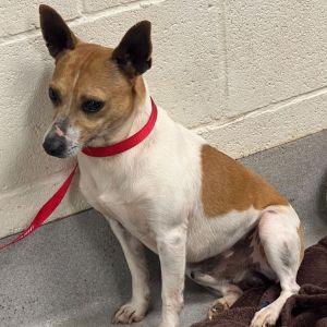 Meet Zag Introducing Zag a fun-loving and spirited young adult male with a heart of gold Original