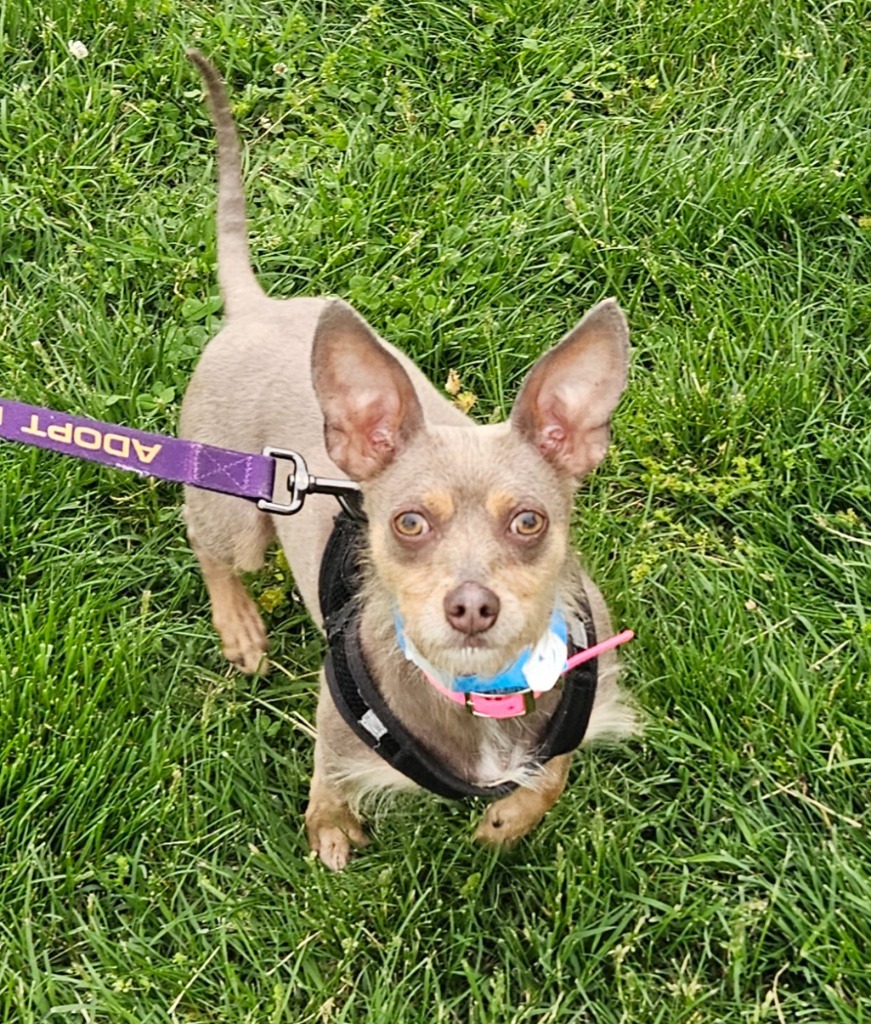 Bonnie