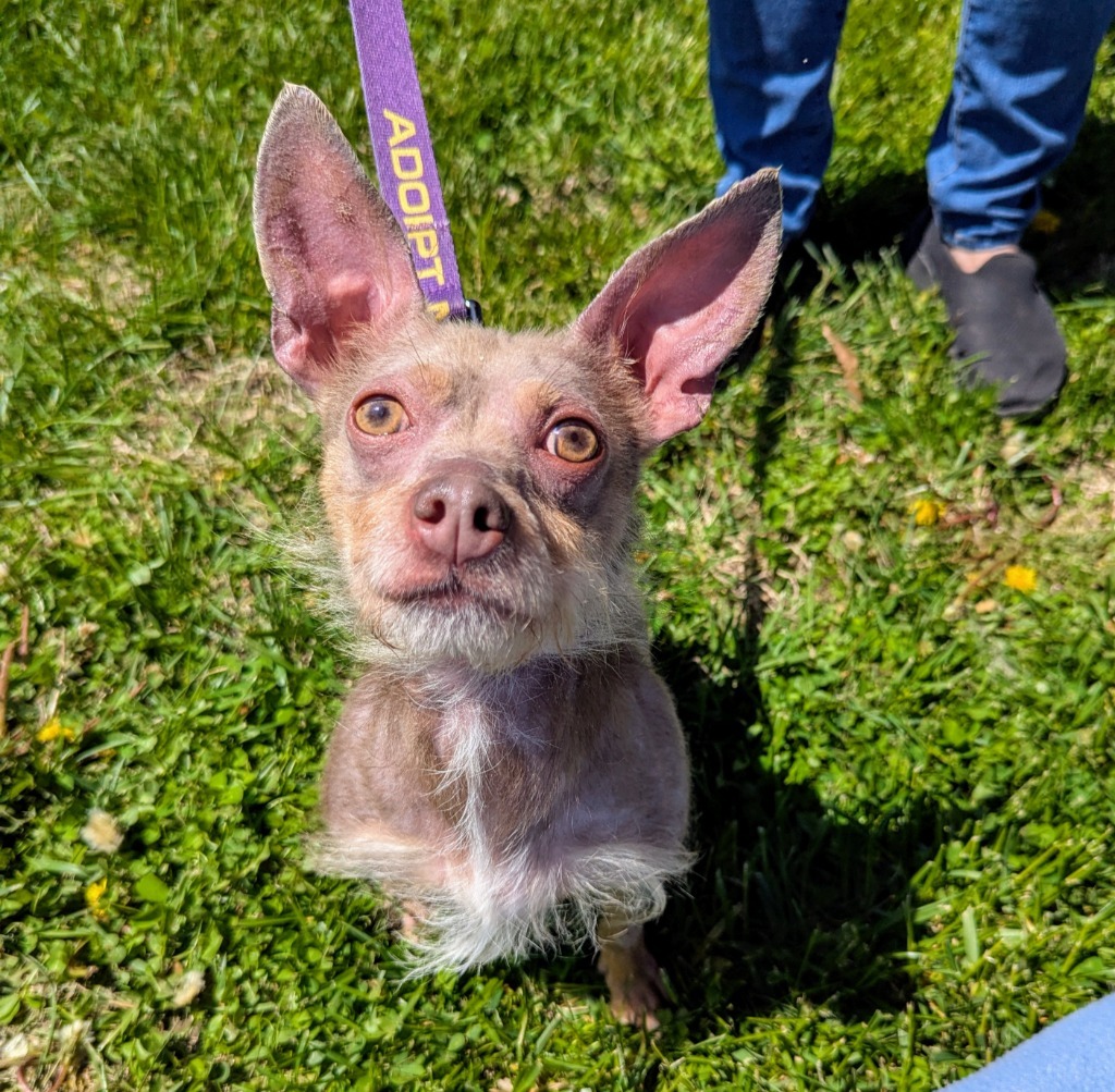Bonnie
