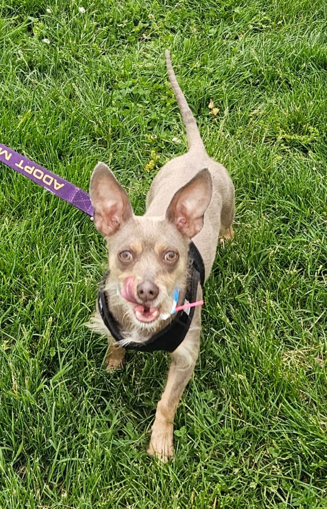 Bonnie