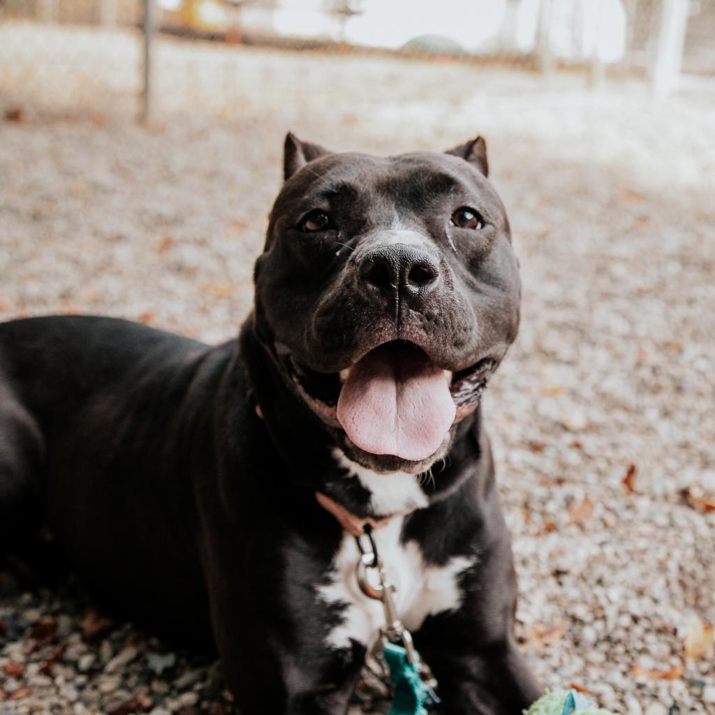 Bella