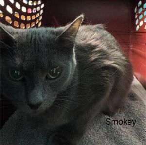 Smokey Girl