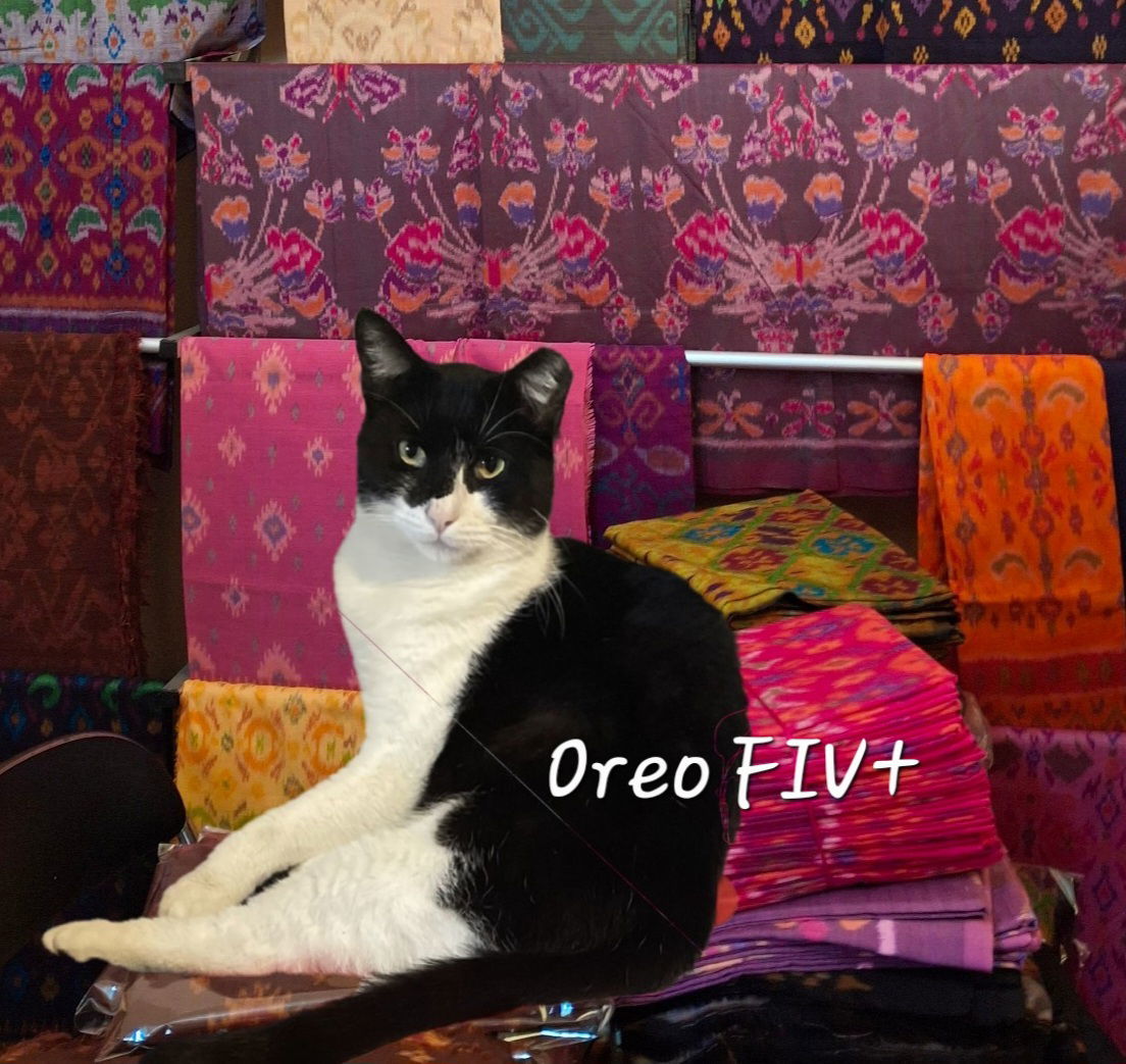 Oreo #smarter-than-the-average-cat