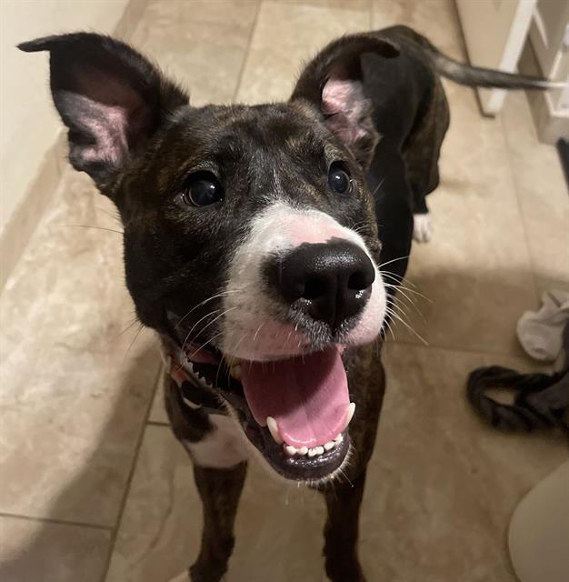LUNA