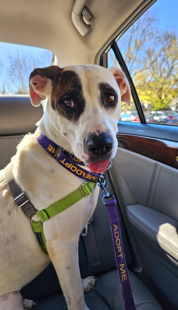 Baylor