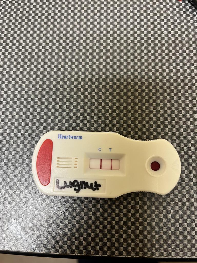 LUGNUT